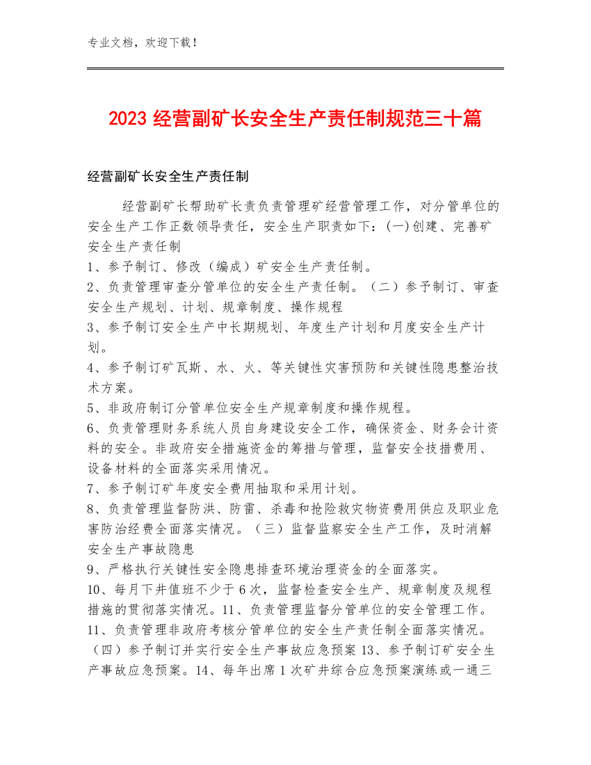 2023经营副矿长安全生产责任制规范三十篇