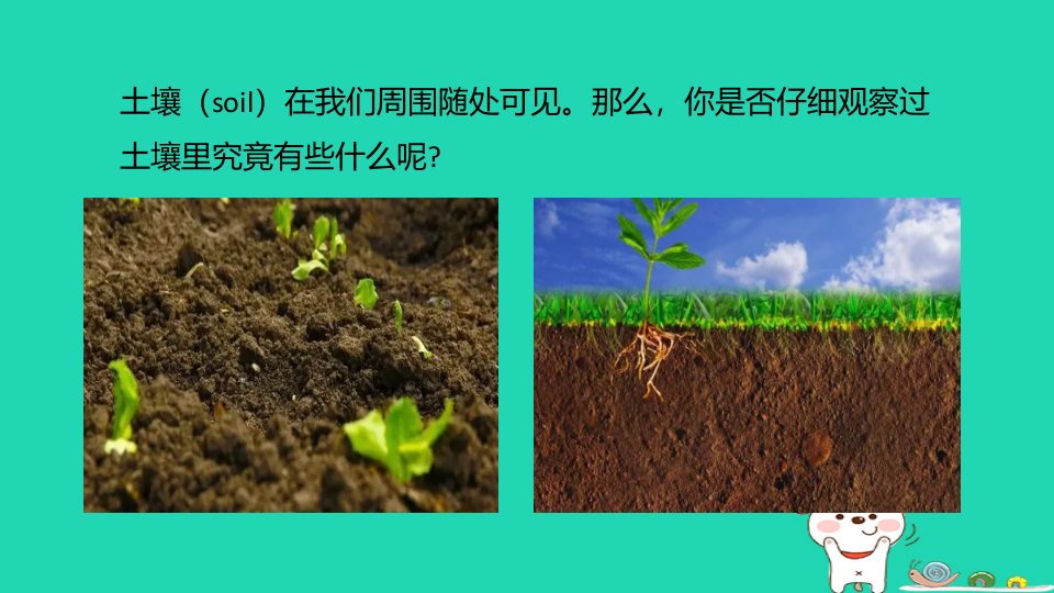 2024八年级科学下册第4章植物与土壤4.1土壤的成分课件新版浙教版