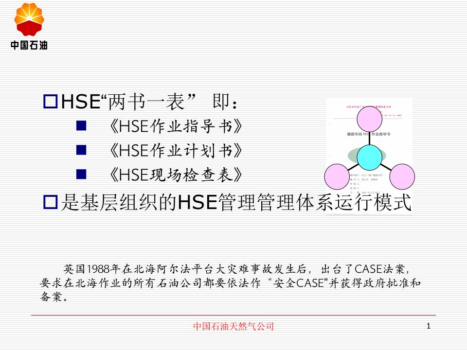 中国石油HSE两书一表