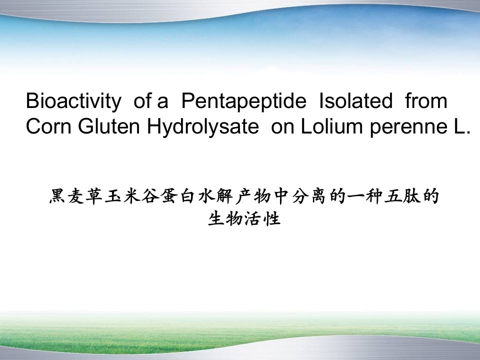 黑麦草玉米谷蛋白水解产物中分离的一种五肽的生物活性