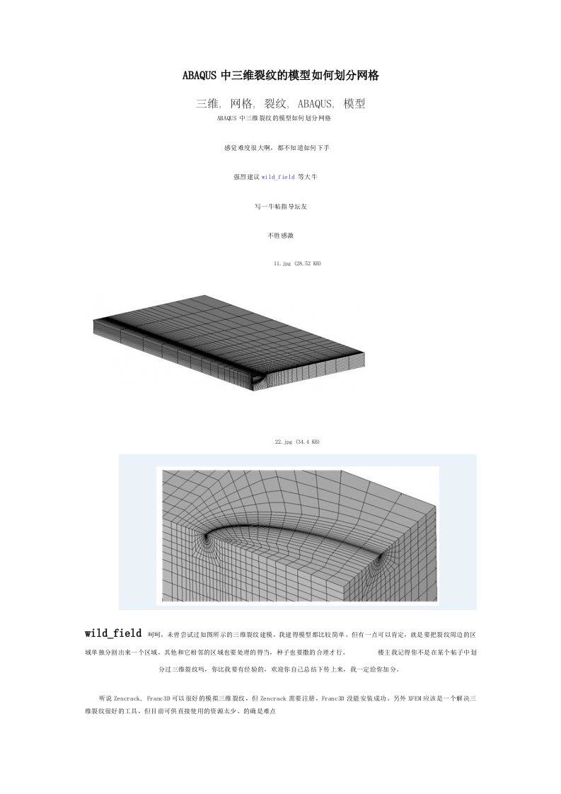 ABAQUS中三维裂纹的模型如何划分网格