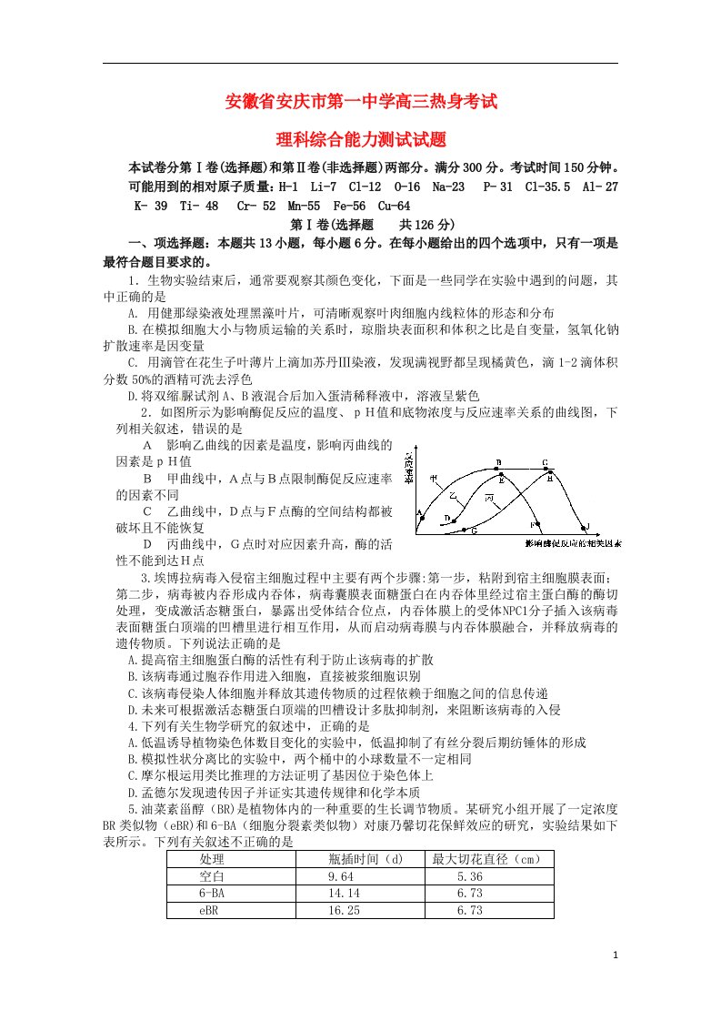 安徽省安庆市第一中学高三理综热身考试试题