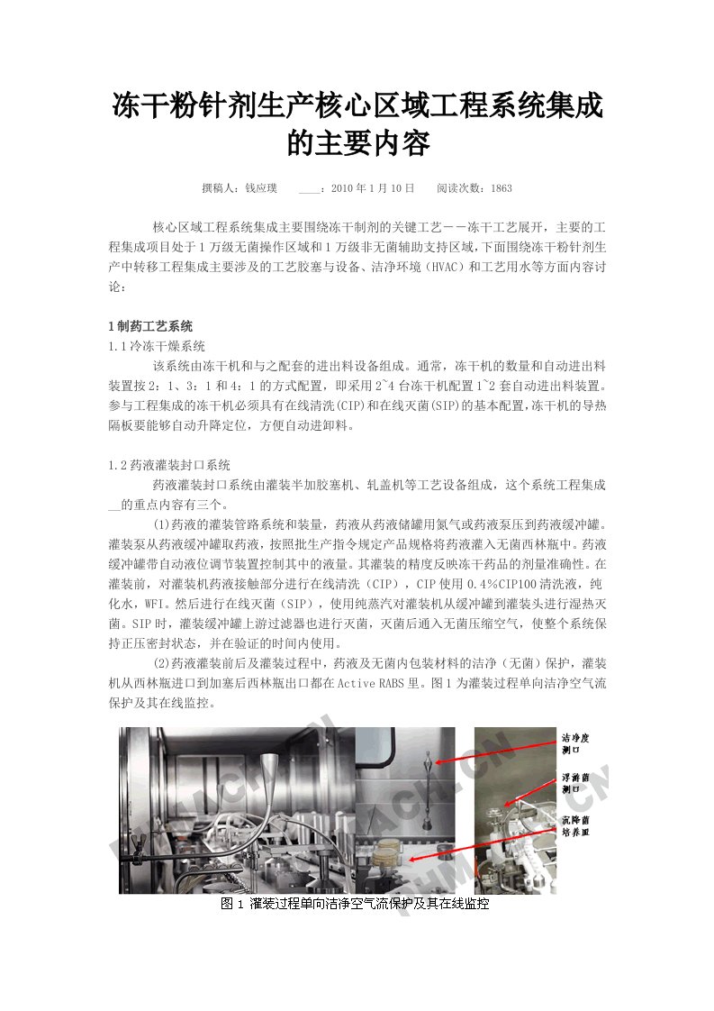 冻干粉针剂生产核心区域工程系统集成的主要内容