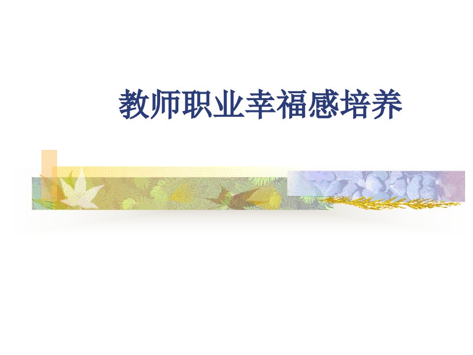 教师职业幸福感培养