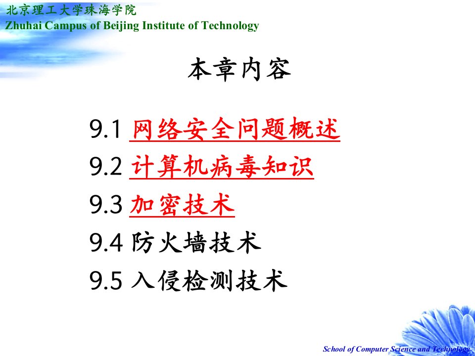 第九章网络安全课件