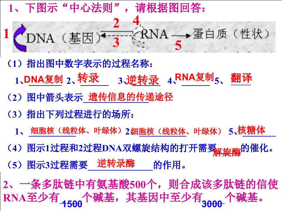 并购重组-基因突变和基因重组