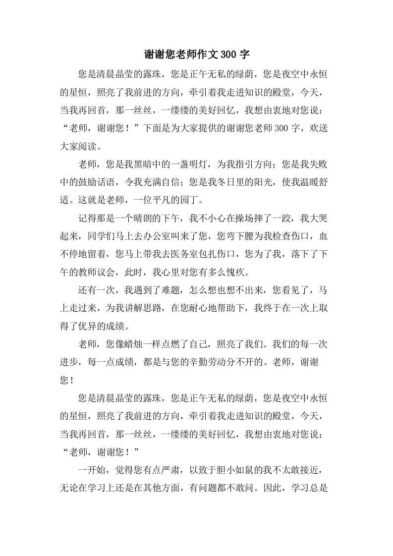 谢谢您老师作文300字