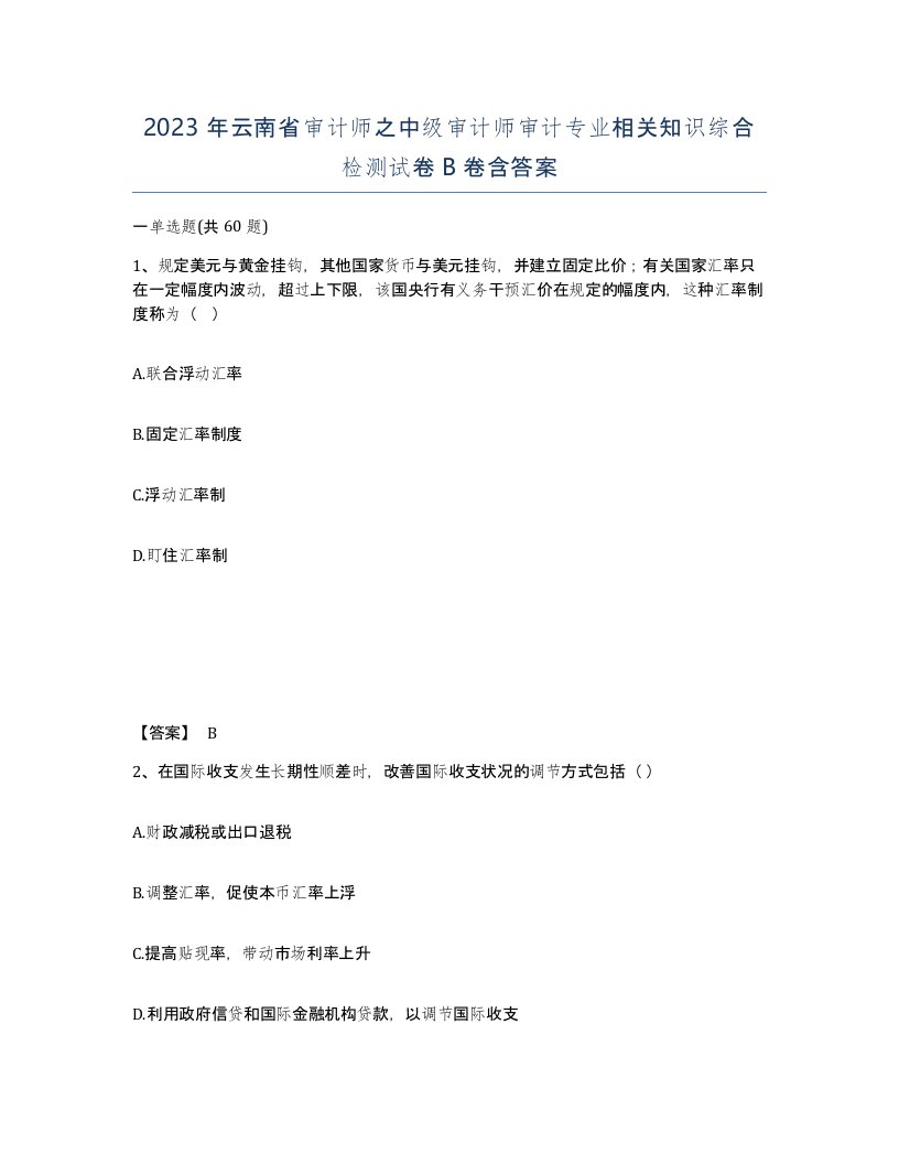 2023年云南省审计师之中级审计师审计专业相关知识综合检测试卷B卷含答案