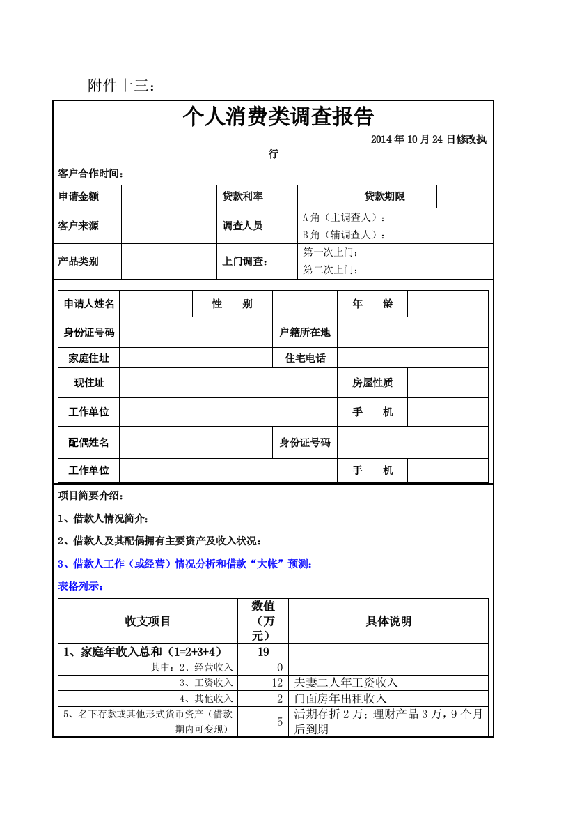 小额贷款公司个人消费类调查报告模版