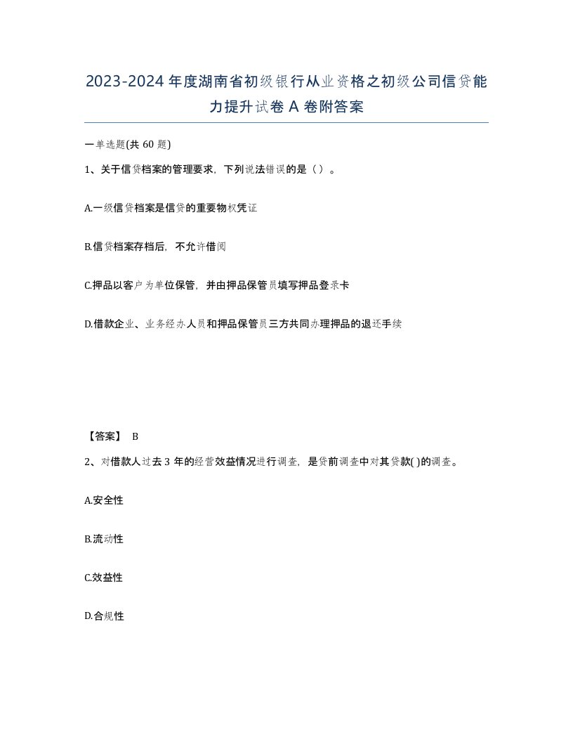 2023-2024年度湖南省初级银行从业资格之初级公司信贷能力提升试卷A卷附答案