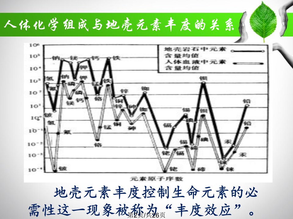 环境地球化学与儿童健康改