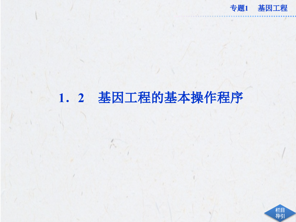 12基因工程的基本操作程序课件