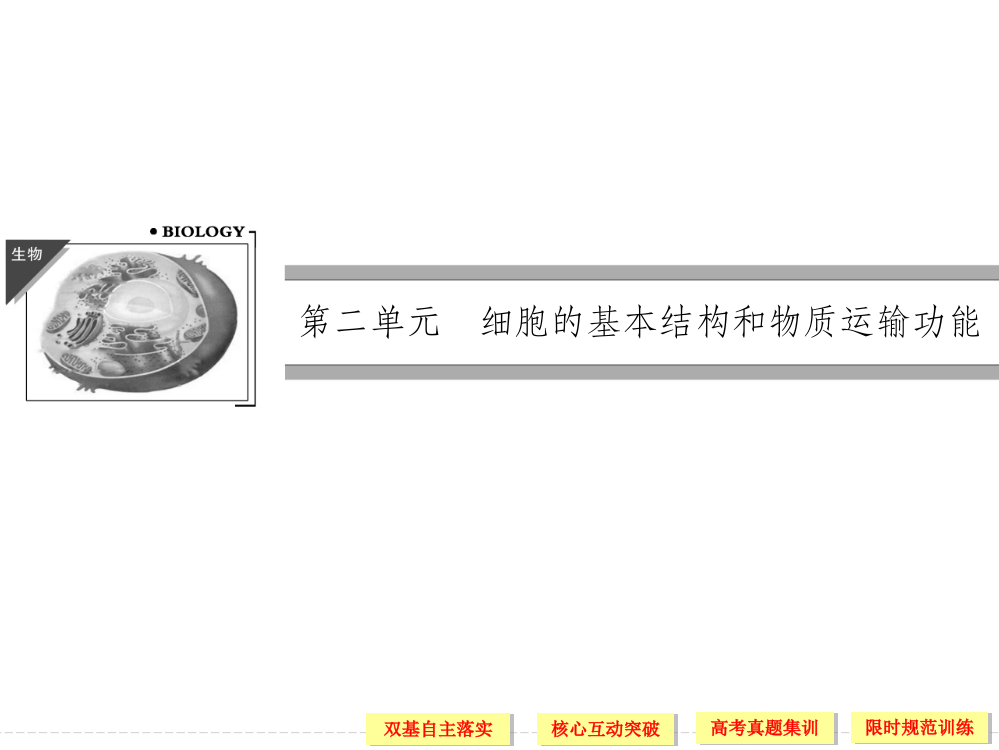 细胞膜和细胞核流动镶嵌模型