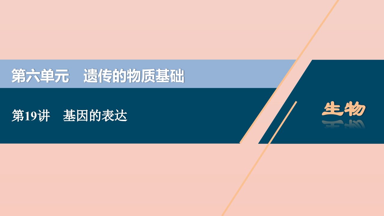 （选考）2021版新高考生物一轮复习