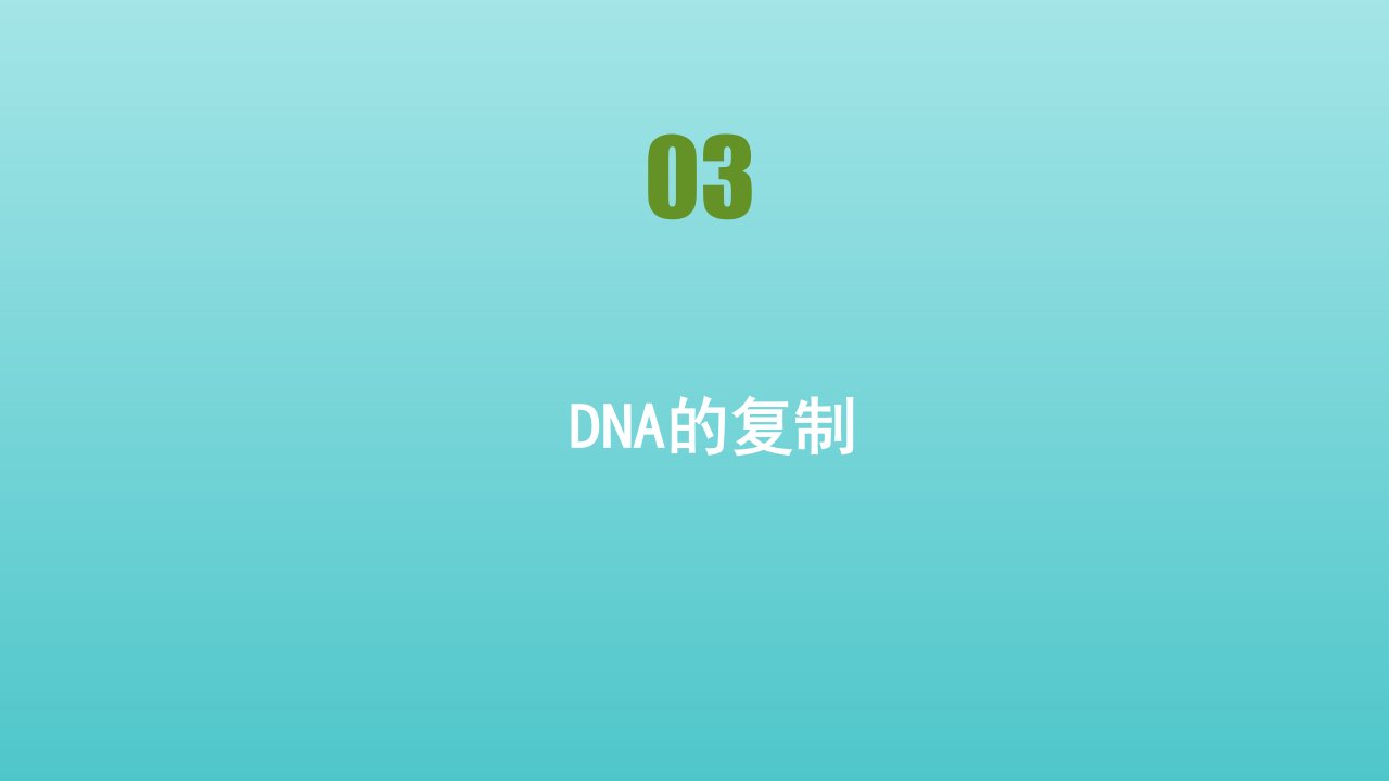 新教材高中生物第3章基因的本质第3节DNA的复制课件新人教版必修2