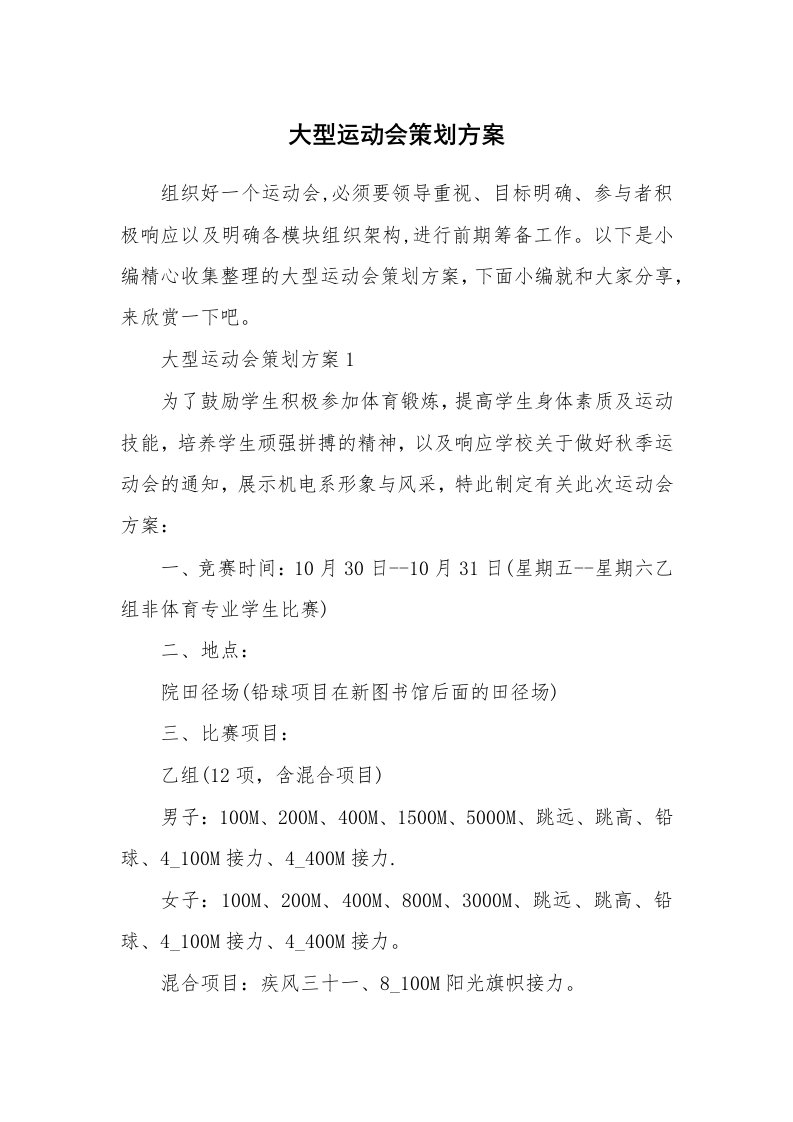 办公文秘_大型运动会策划方案