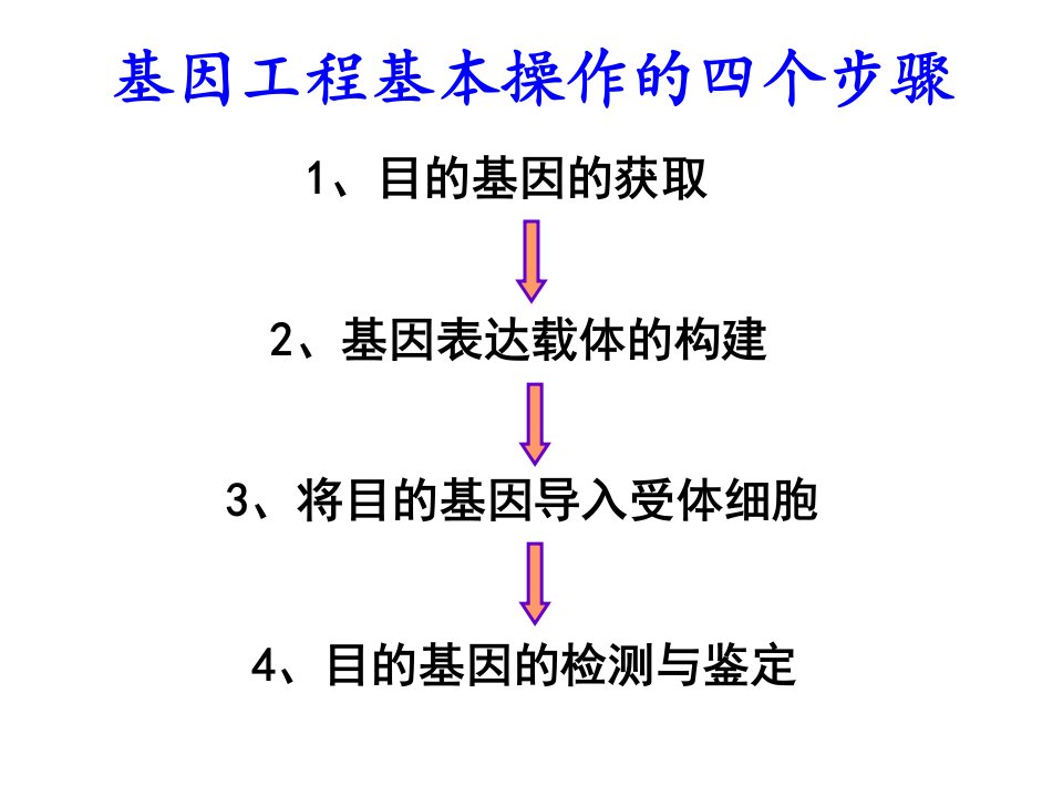 基因工程-获取目的基因