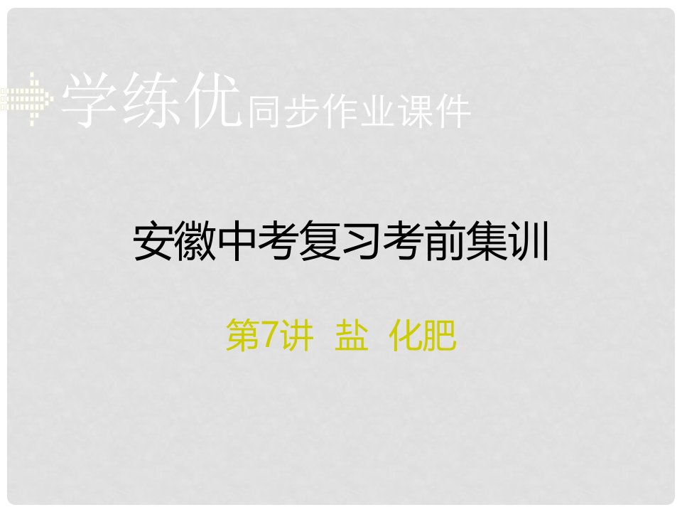 安徽省中考化学考前集训复习