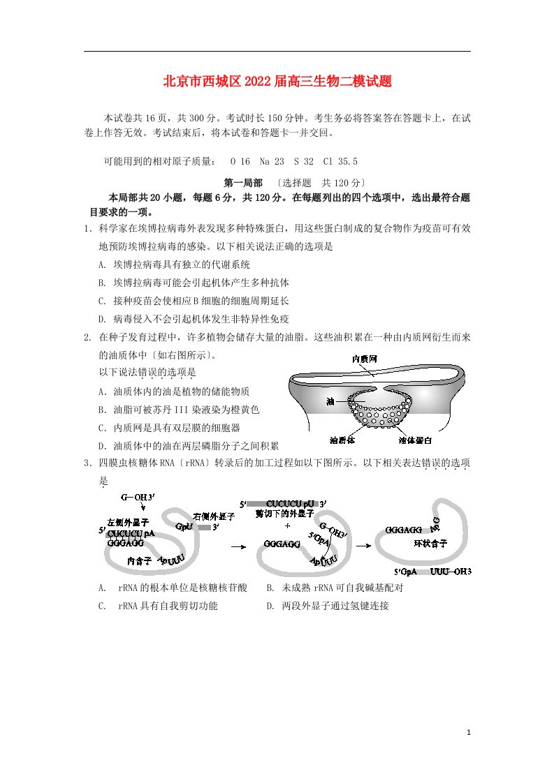 北京市西城区2022届高三生物二模试题