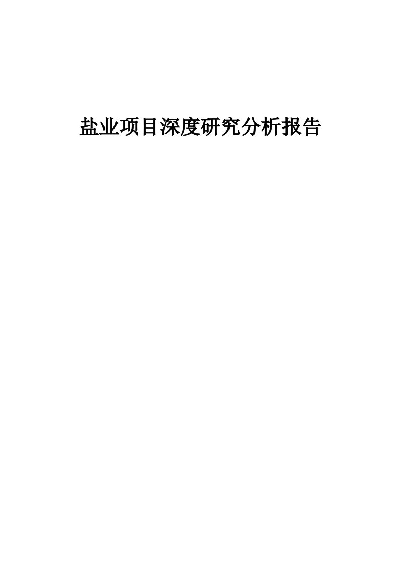 盐业项目深度研究分析报告