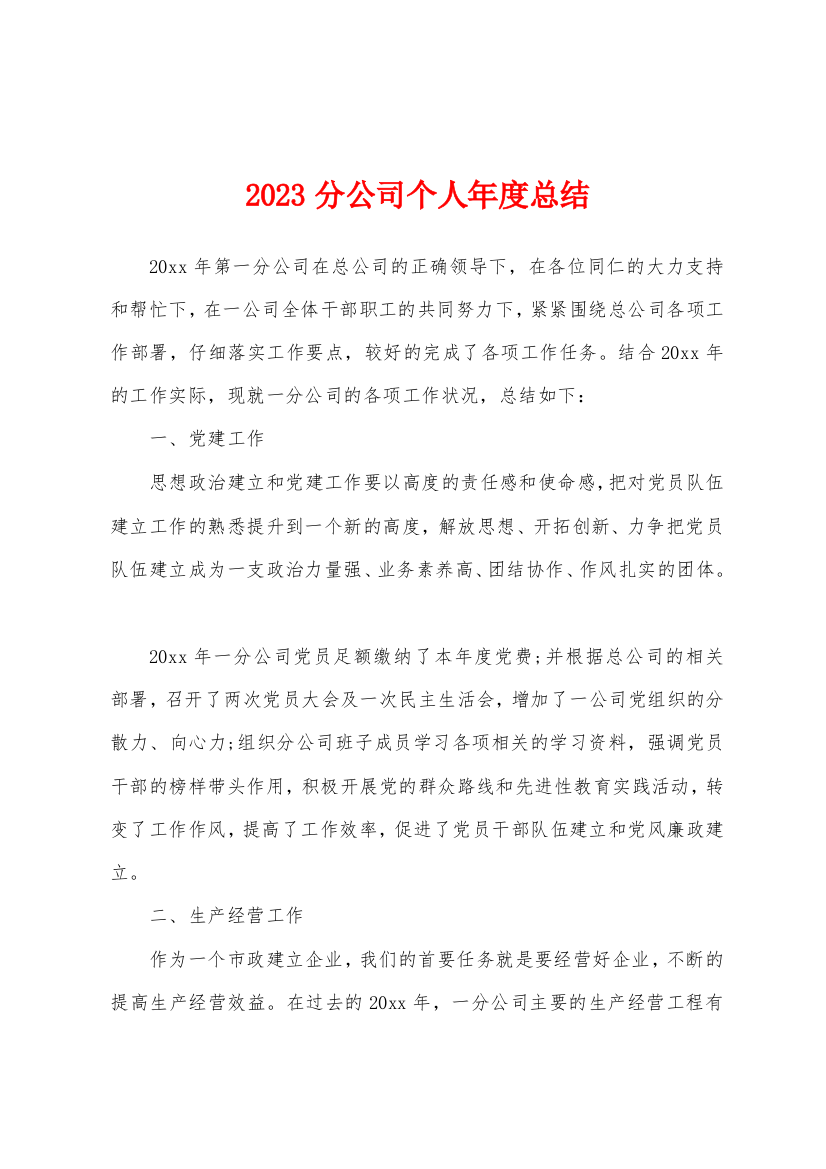 2023年分公司个人年度总结