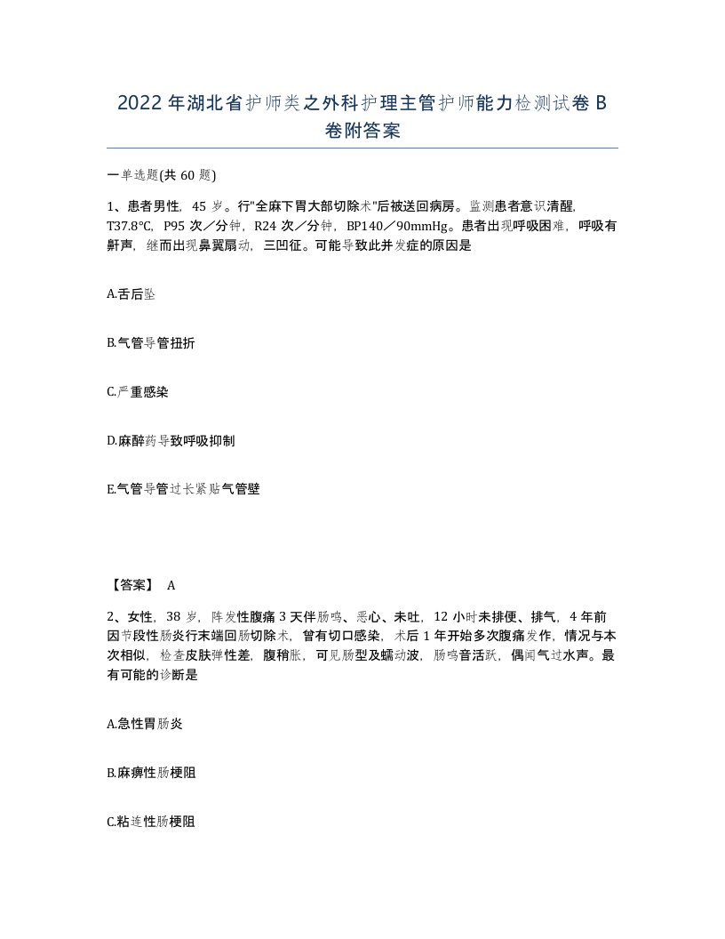 2022年湖北省护师类之外科护理主管护师能力检测试卷B卷附答案