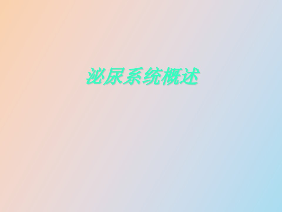 泌尿系统概述