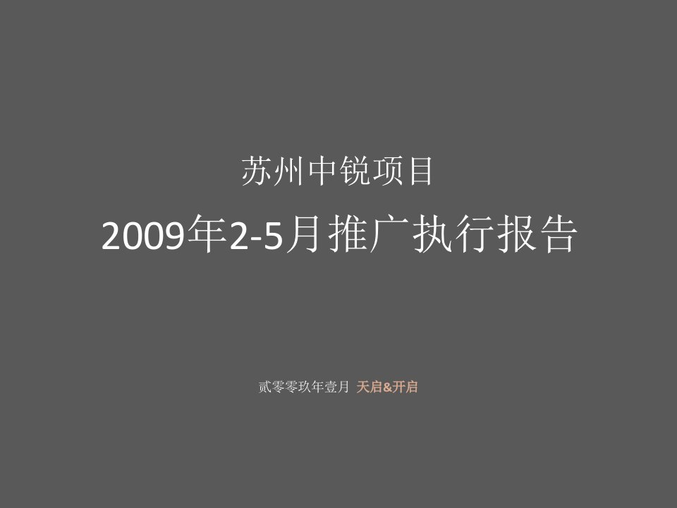 苏州山水映像项目2009年2-5月推广执行报告