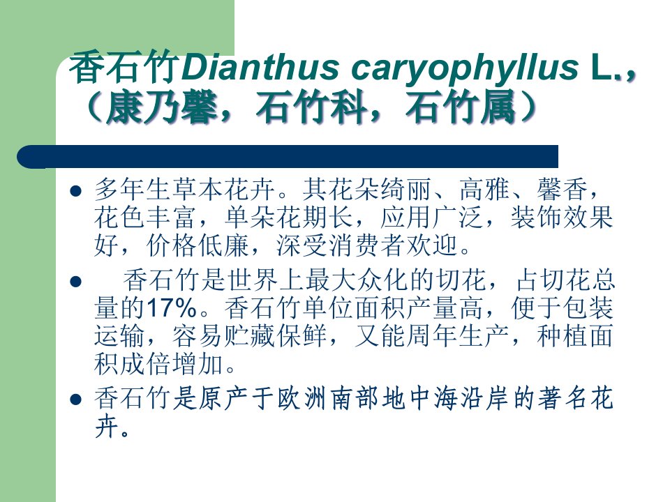 精选切花香石竹的栽培技术