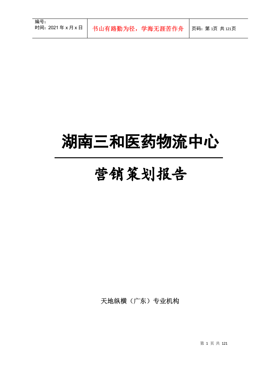 湖南某医药物流营销策划报告