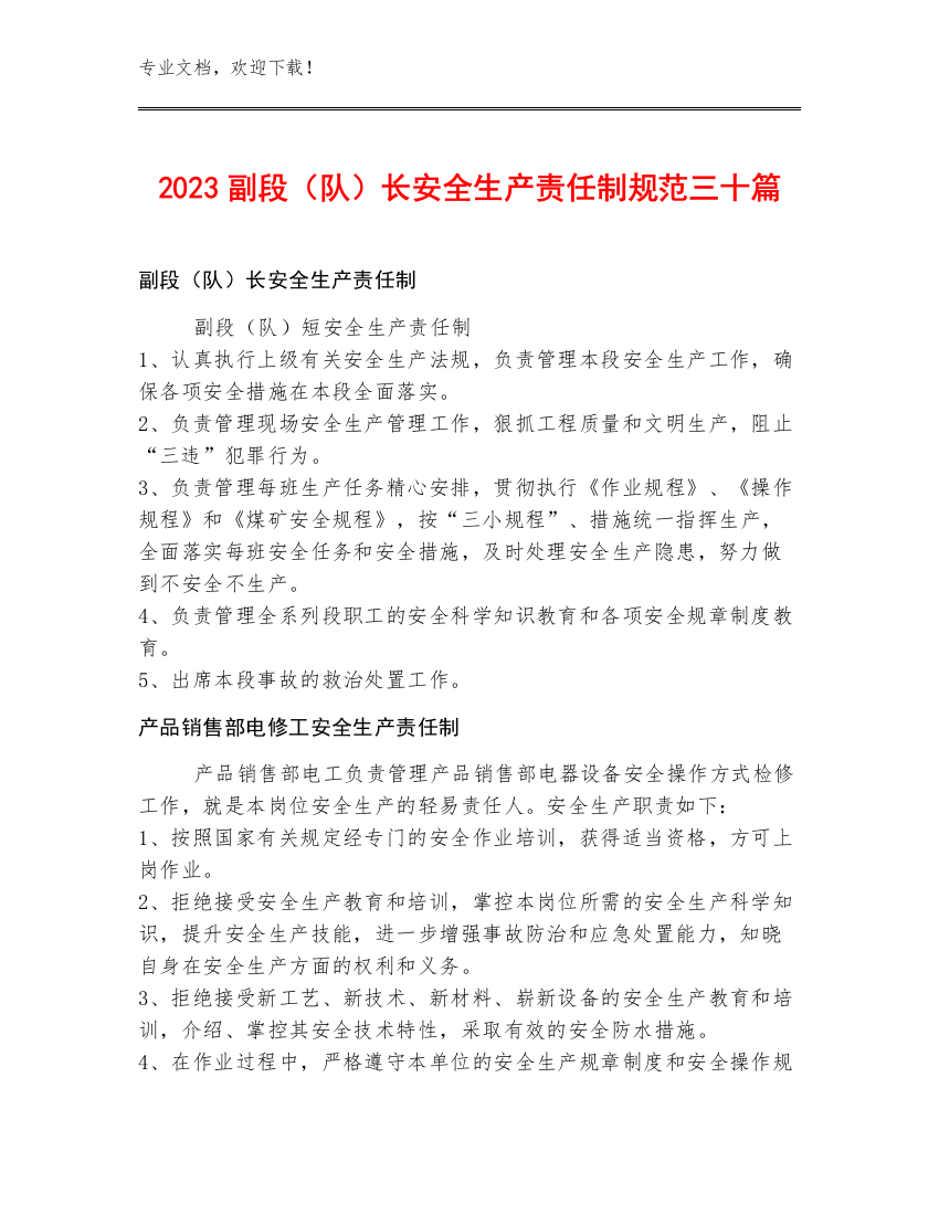 2023副段（队）长安全生产责任制规范三十篇