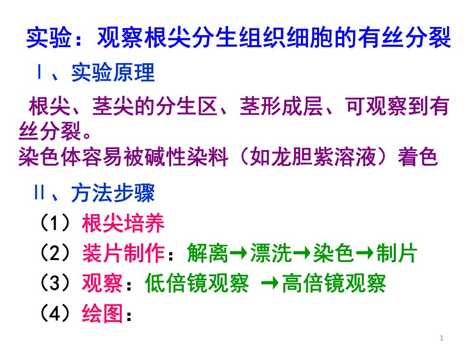 观察根尖分生组织细胞的有丝分裂ppt课件