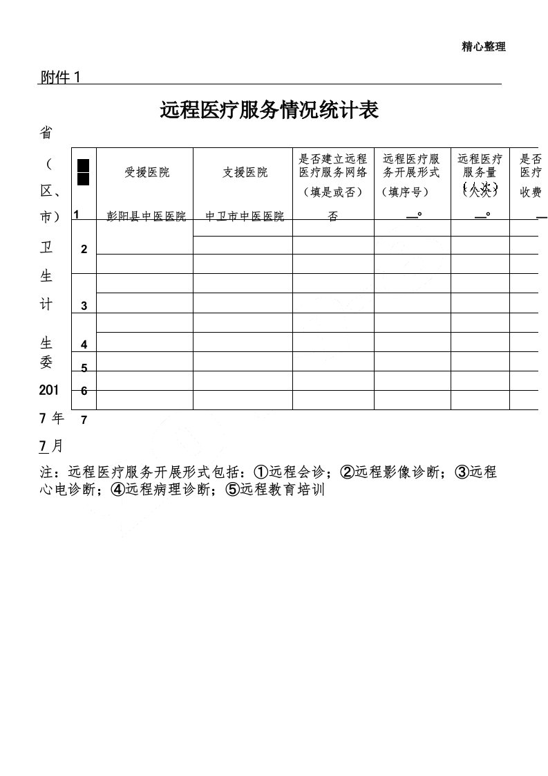 远程医疗服务情况统计表格模板