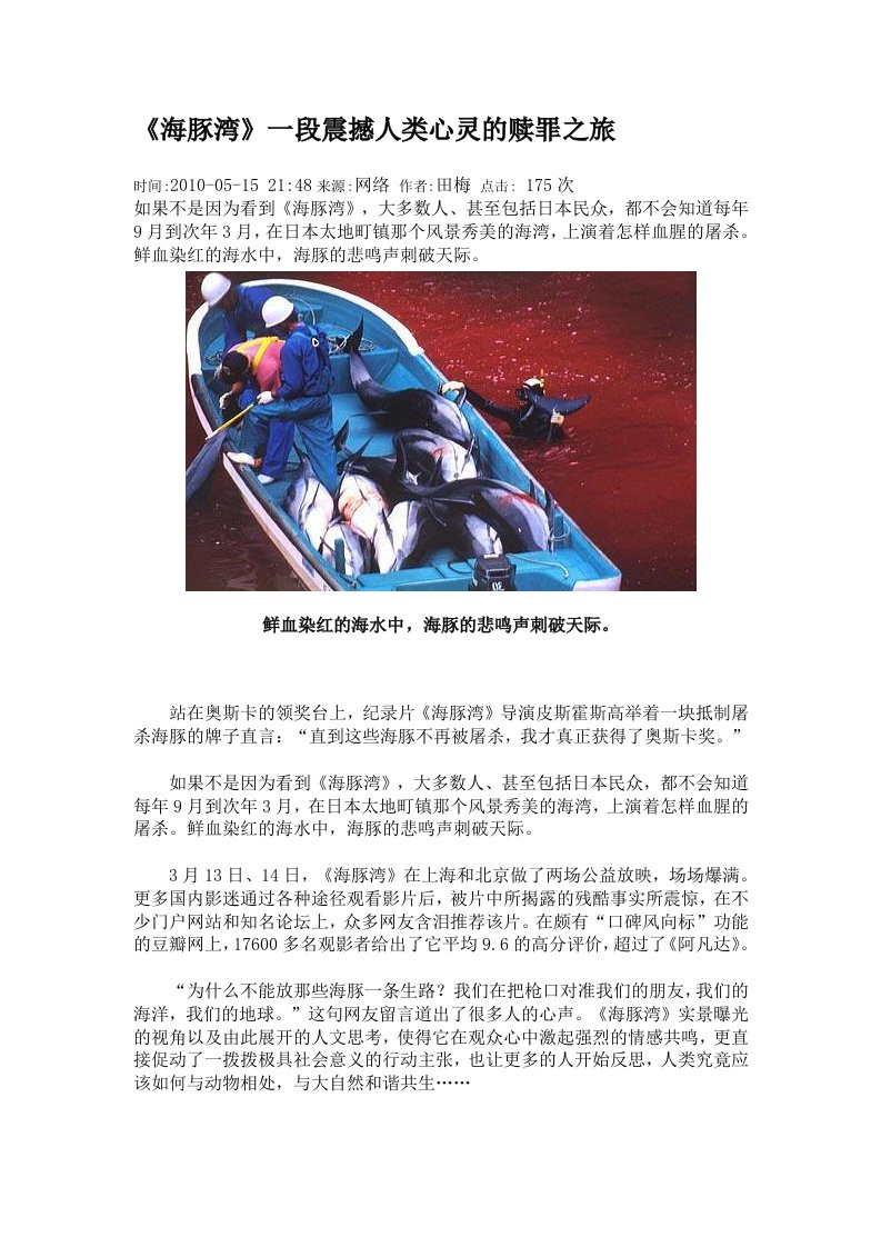 海豚湾参考资料