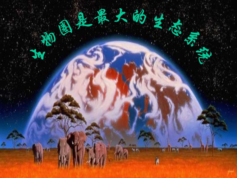 生物圈是最大的生态系统