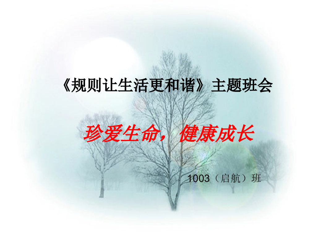 1003（启航）班安全教育主题班会[1]