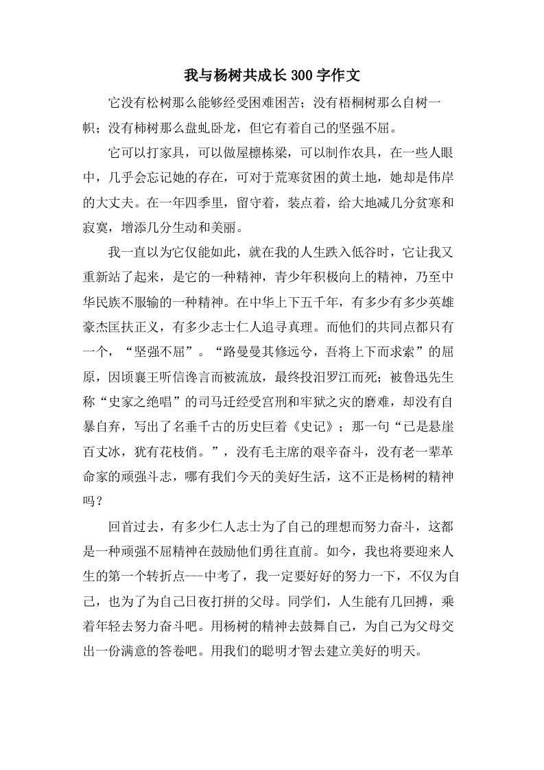 我与杨树共成长300字作文