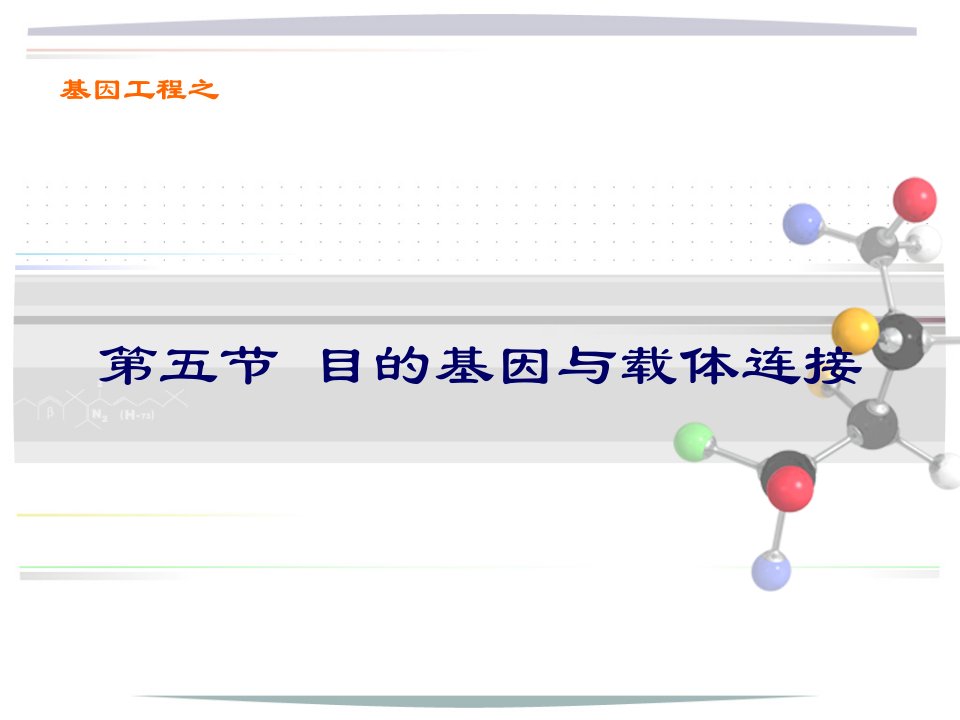 目的基因连接及导入