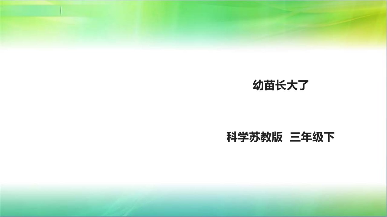 苏教版小学新版科学三年级下1.2《幼苗长大了》ppt课件