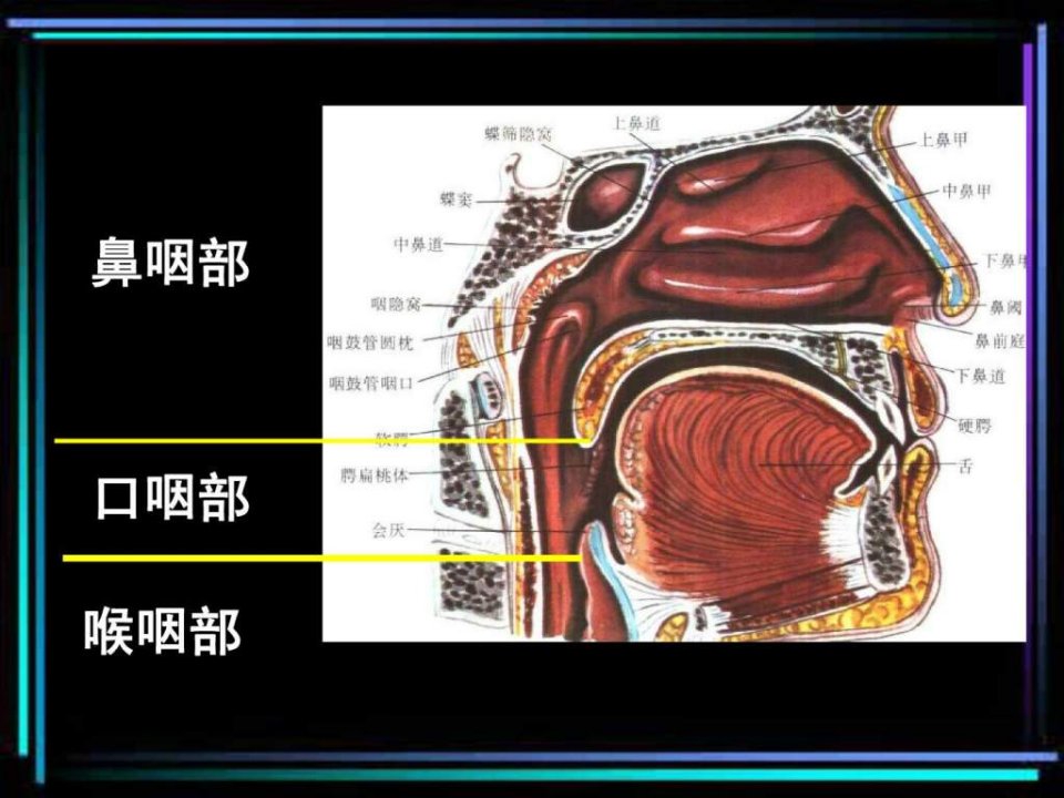 最新CT诊断学精品_咽喉CT-PPT文档