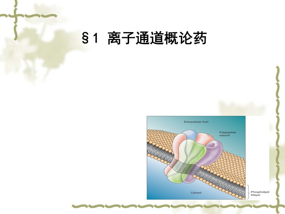 21章离子通道和钙通道阻滞药