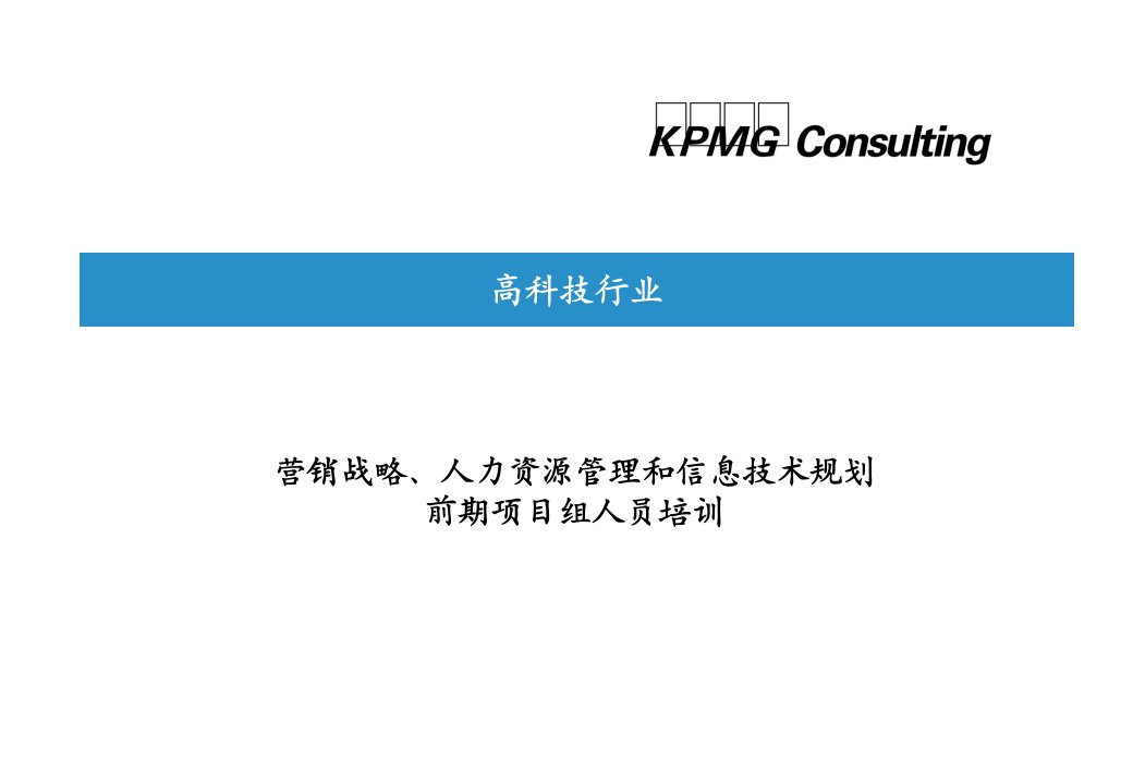 营销战略、人力资源管理和信息技术规划前期项目组人员