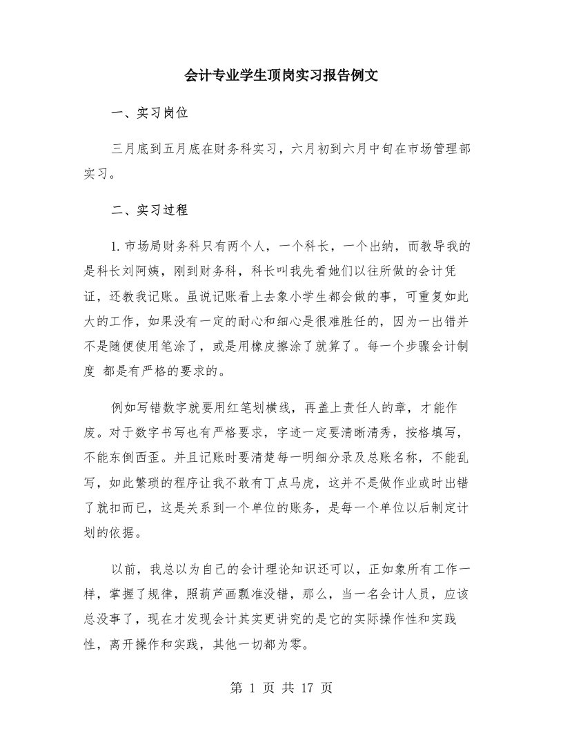 会计专业学生顶岗实习报告例文