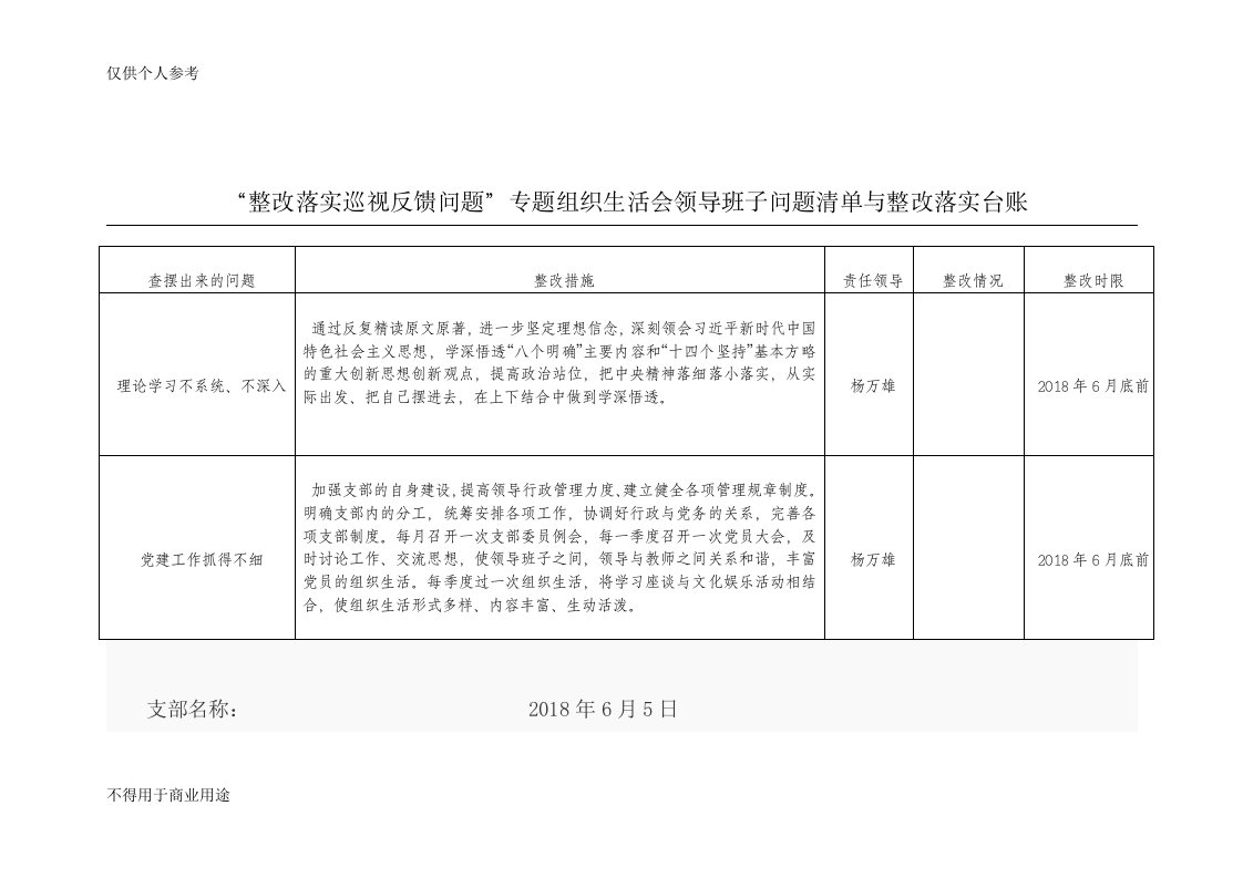 党支部班子整改台账