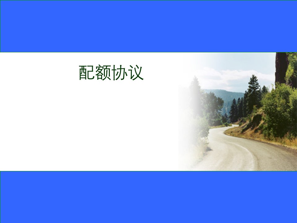 SAP配额协议（PPT45页)