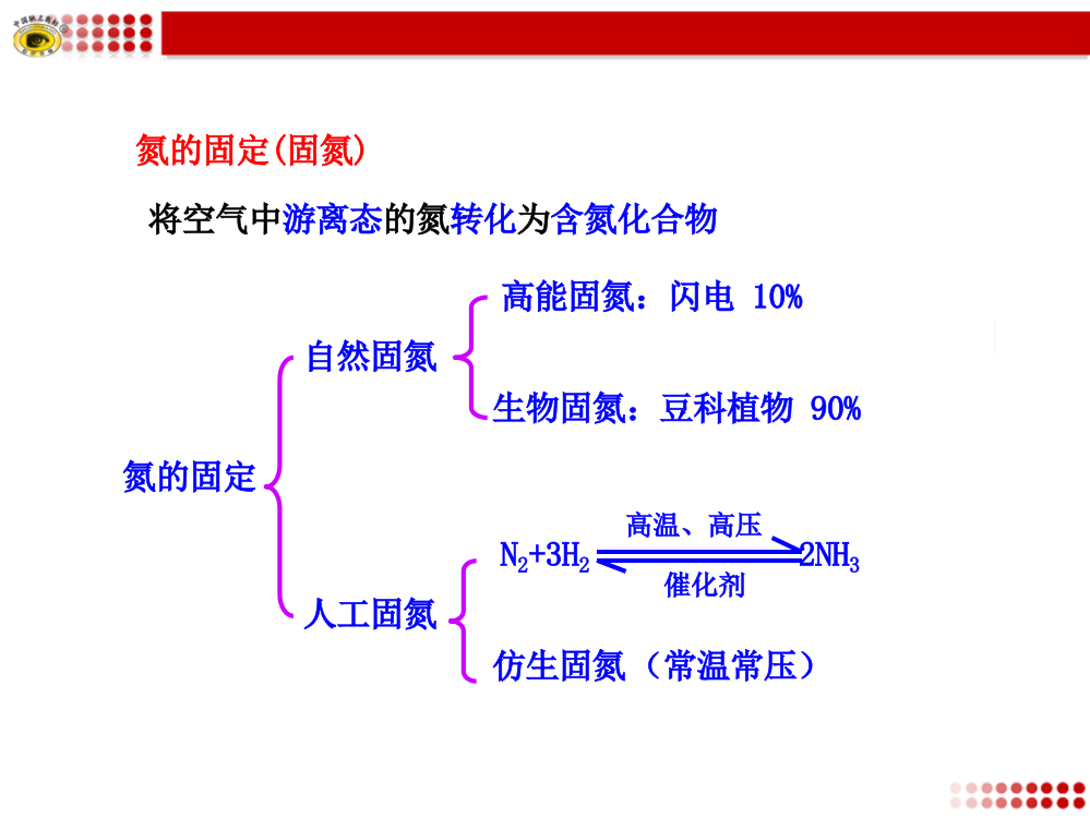 氮的固定（固氮）