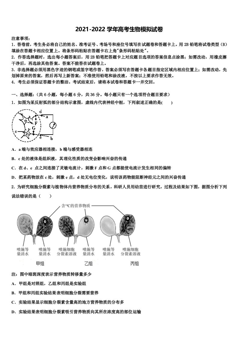 上海市浦东新区华东师范大学第二附属中学2021-2022学年高三第五次模拟考试生物试卷含解析