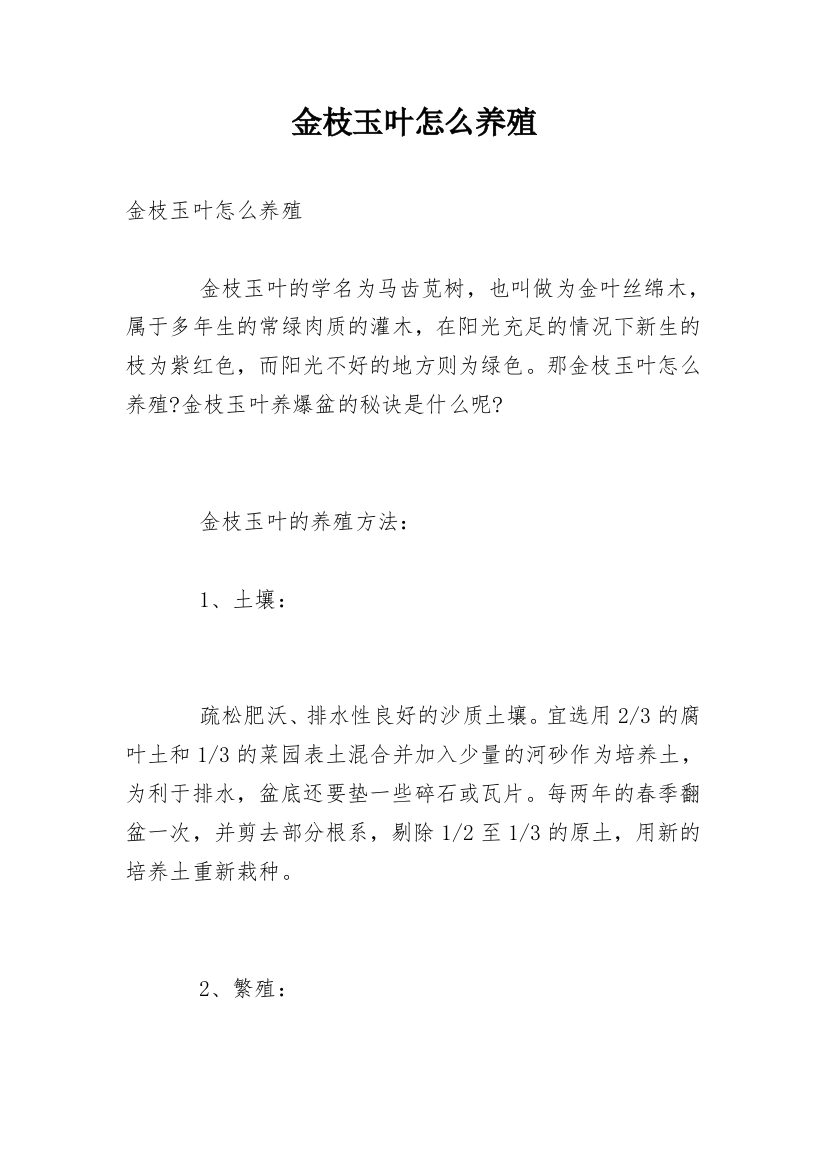 金枝玉叶怎么养殖