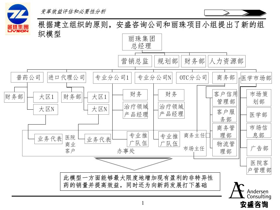 某医疗药品公司战略咨询