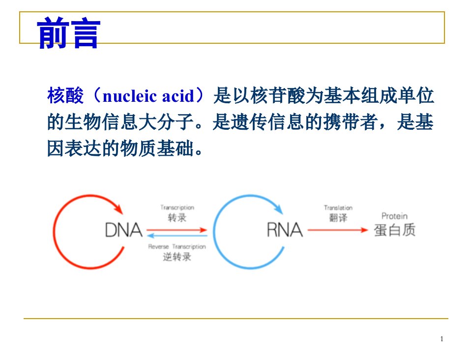 医学微生物学